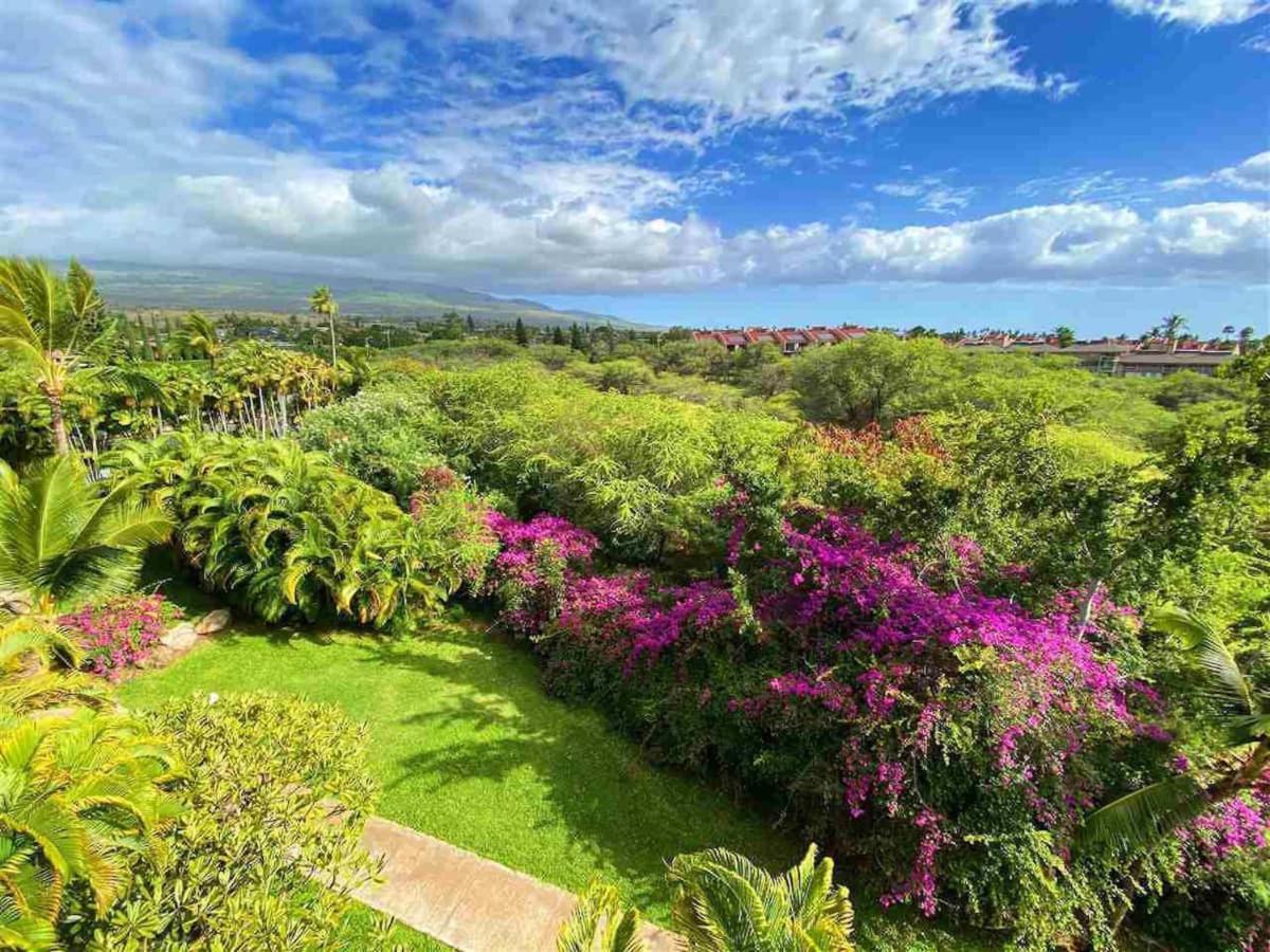 Penthouse 1 Bd King Suite With Ocean Views! Wailea  Exterior foto